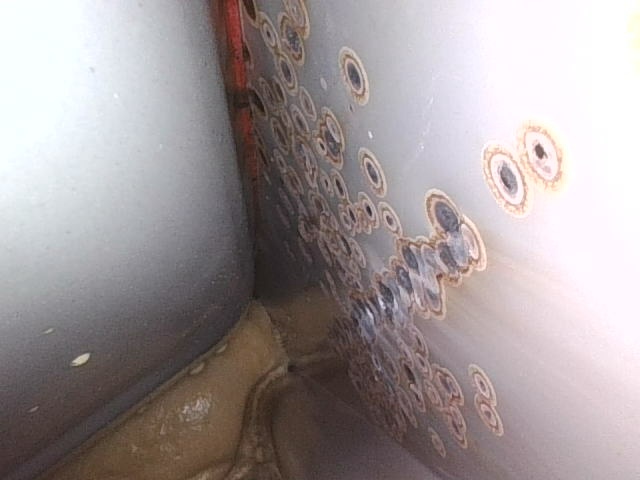 Заднее левое крыло: окрашен