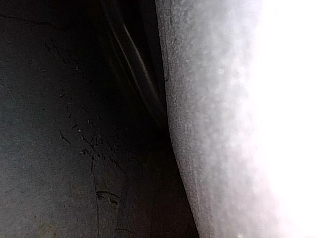 Заднее левое крыло: окрашен