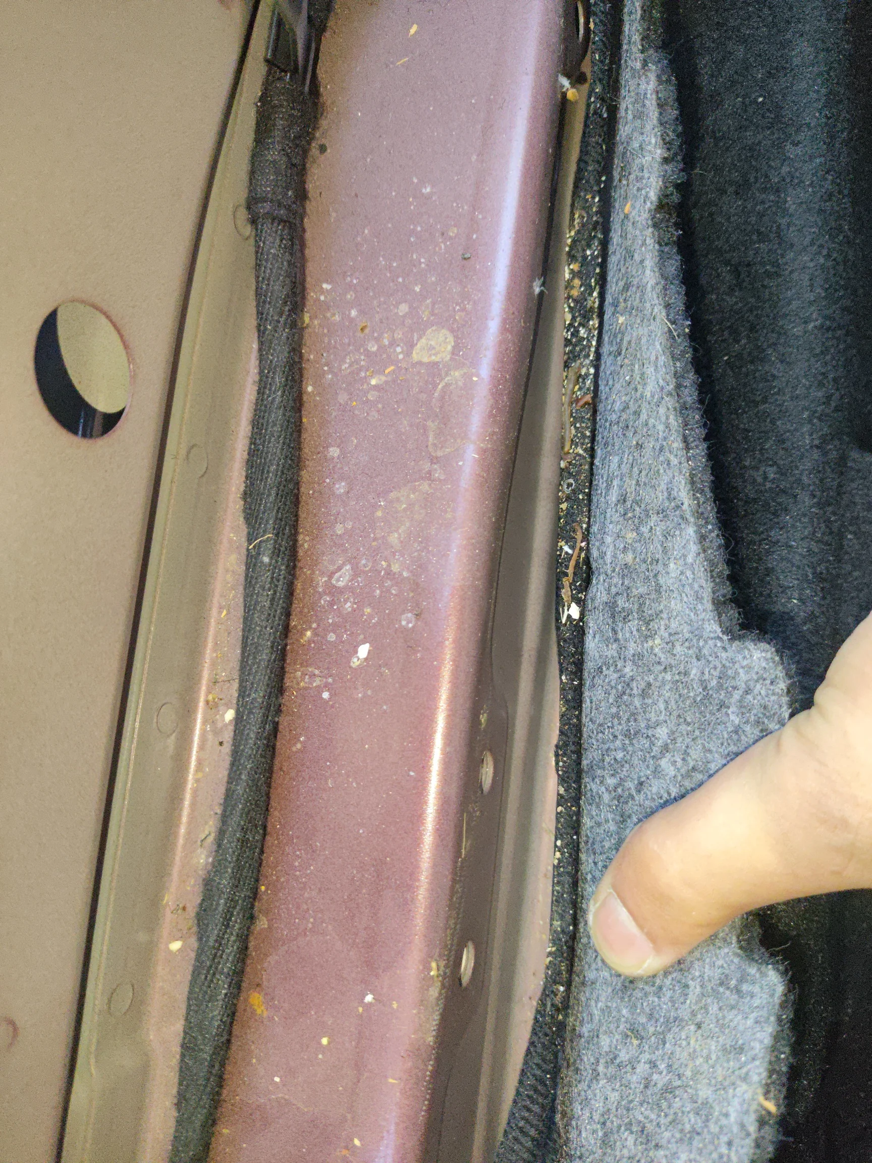 Пол багажника: загрязнение