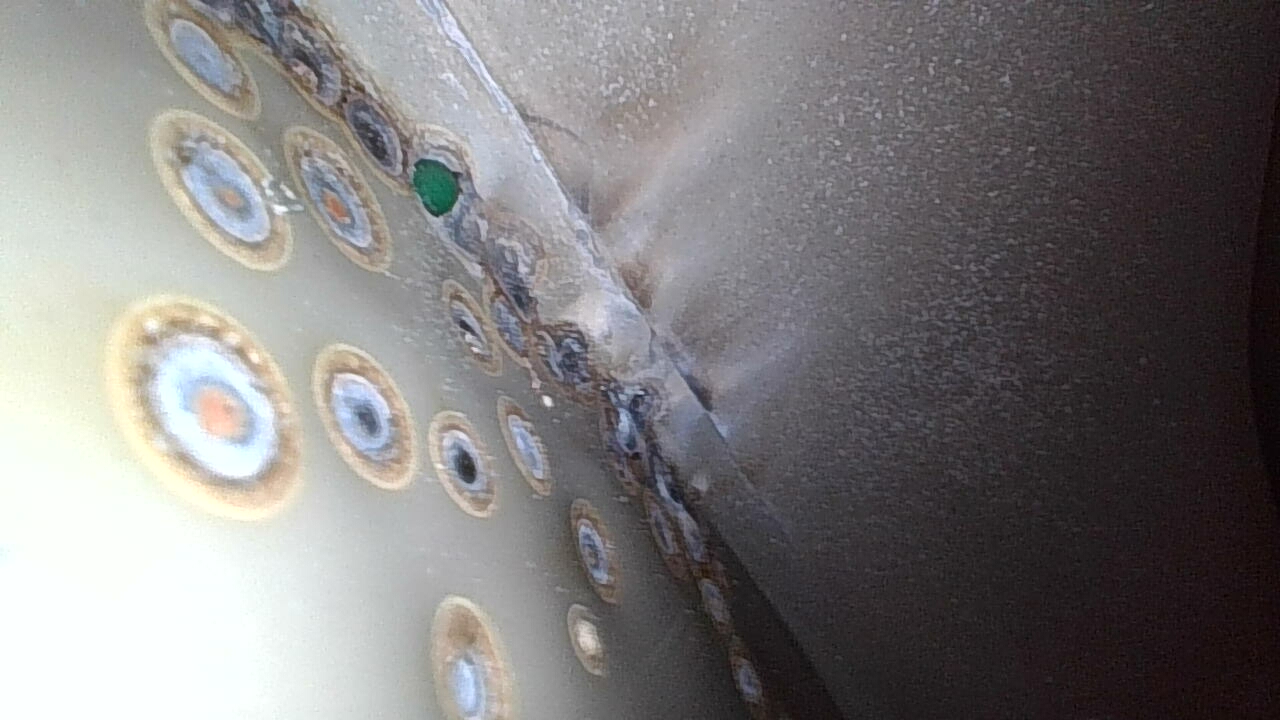 Заднее правое крыло: окрашен