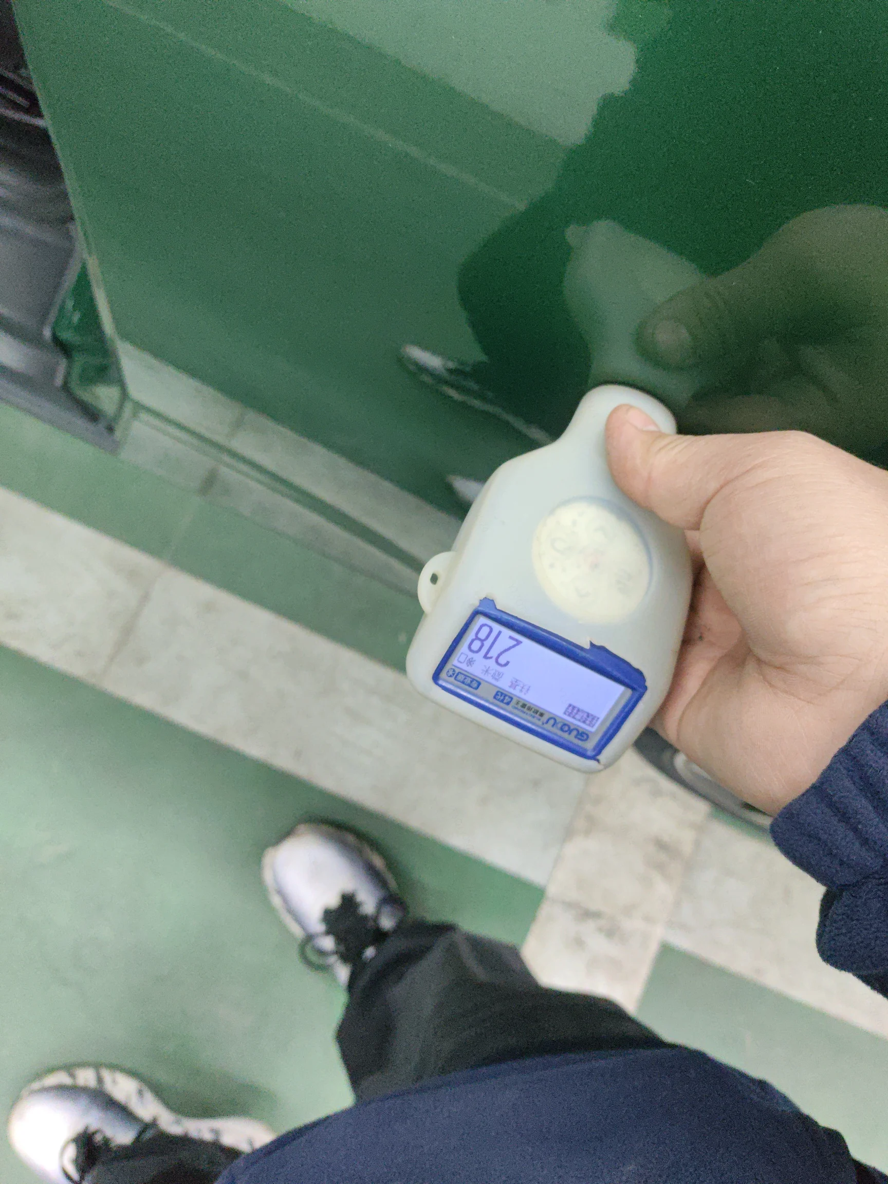 Заднее левое крыло: окрашен
