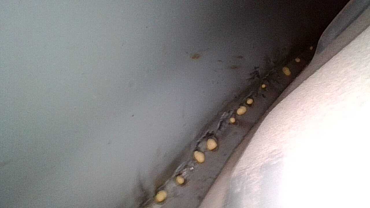 Заднее правое крыло: окрашен